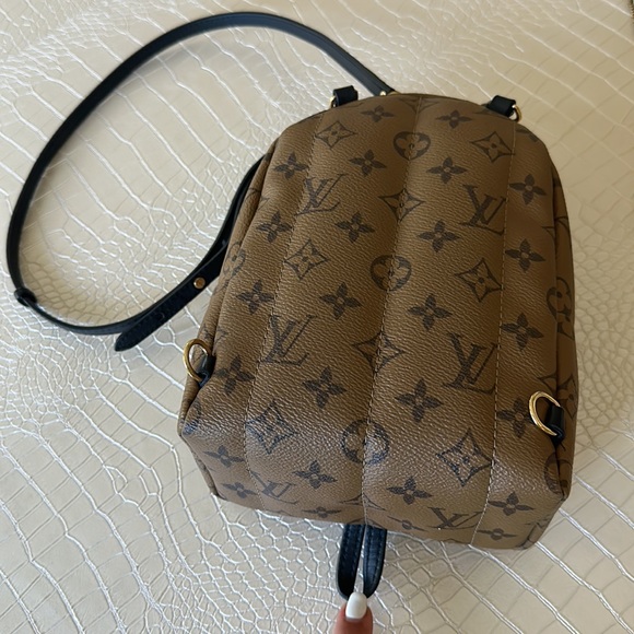 Louis Vuitton Palm Springs Mini Reverse Limited Edition Backpack 💯AUTHENTIC - Picture 4 of 16